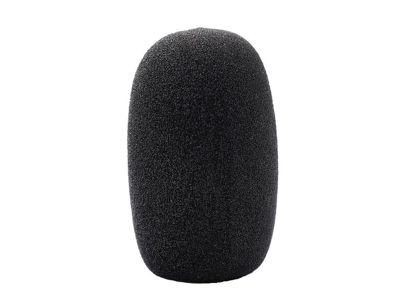 ASP-06 ASP-06 Electret Microphone Protector