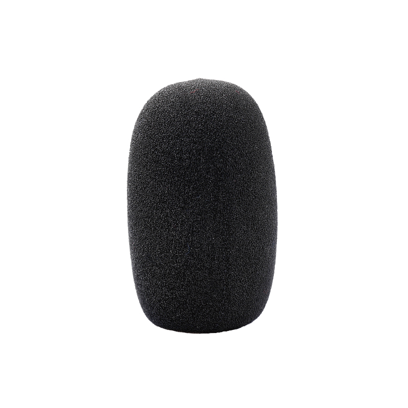 ASP-06 ASP-06 Electret Microphone Protector