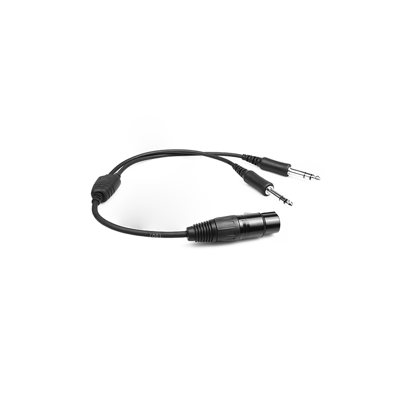 CB-10 (3) CB-10 Airbus Headset to GA Dual Plugs Headset Cable